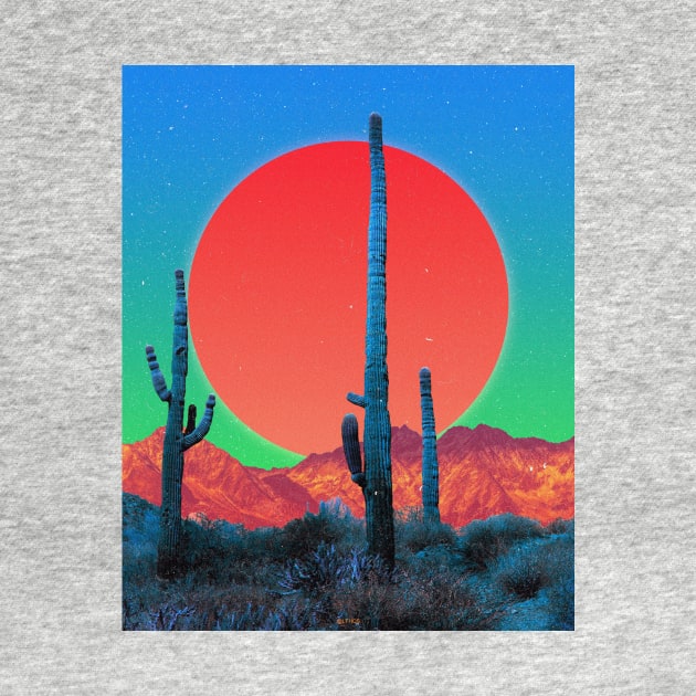 CACTI DREAMS by LFHCS